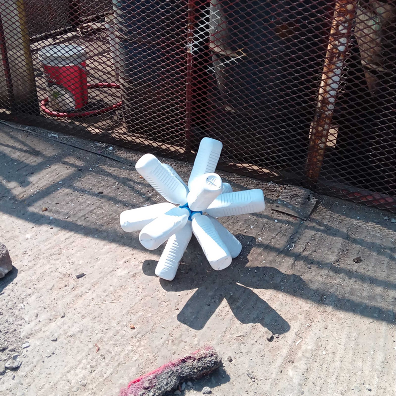 Mutation n° 14, 2019. Botswana